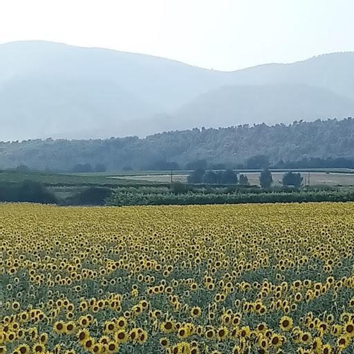 Le Pontin Βίλα Mane  Εξωτερικό φωτογραφία